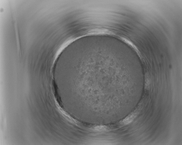 X0000059101467200510172107