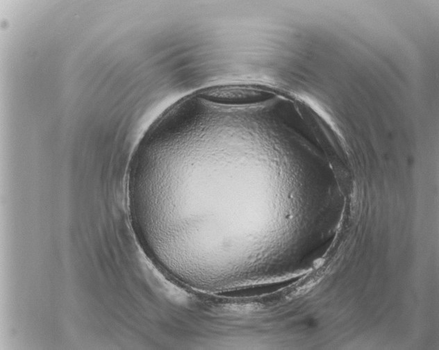 X0000059101468200510172107