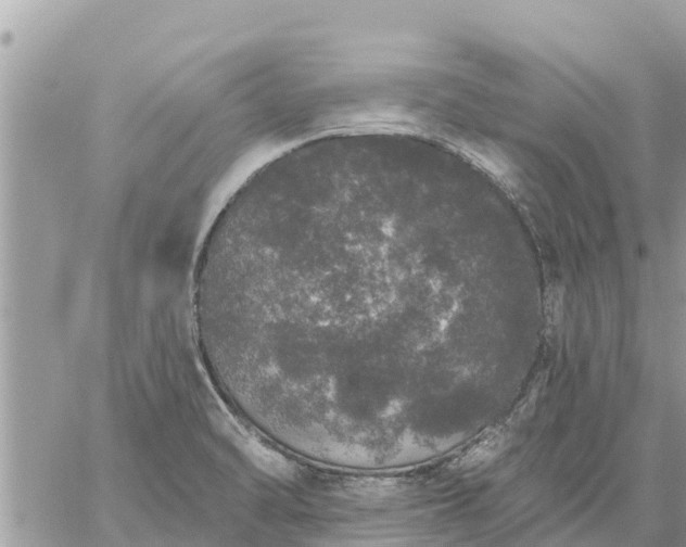 X0000059101470200510172107