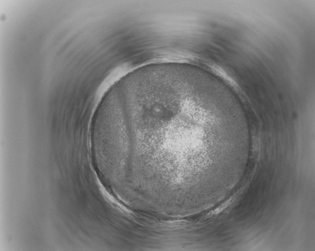 X0000059101471200510172107