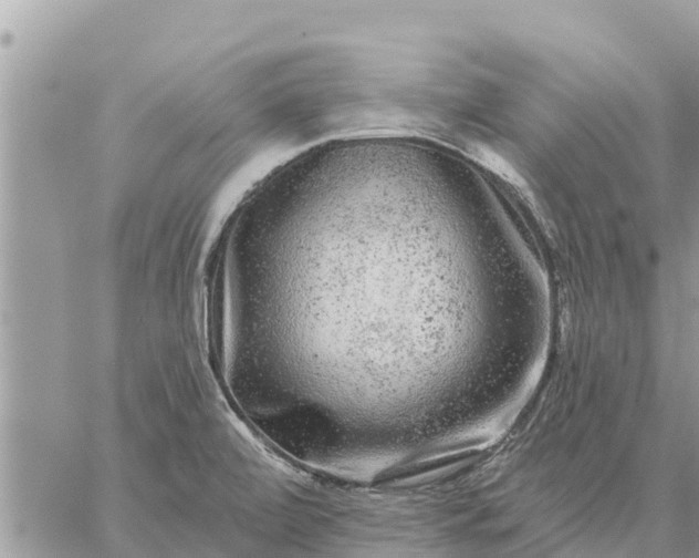 X0000059101472200510172107