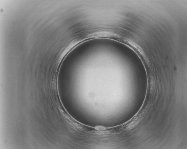 X0000059101473200510172107