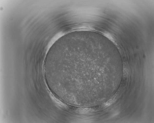 X0000059101474200510172107