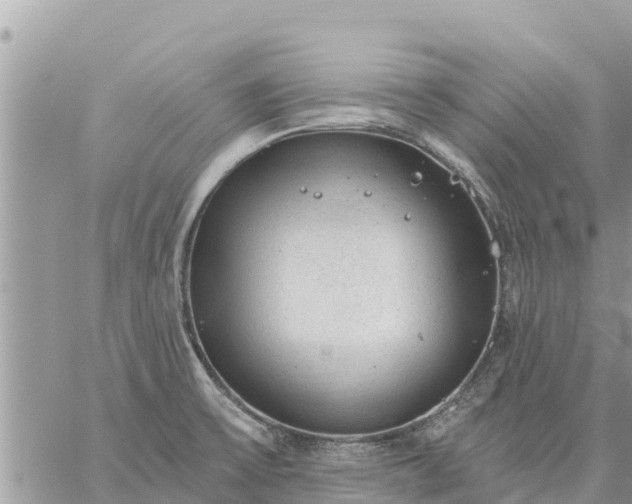 X0000059101475200510172107