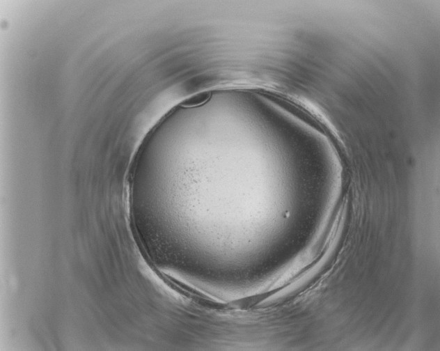 X0000059101476200510172107