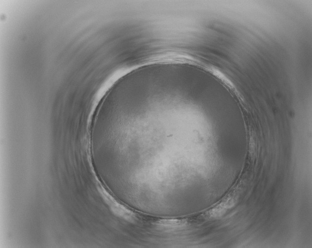 X0000059101478200510172107