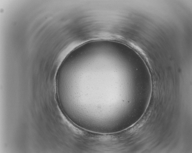 X0000059101479200510172107