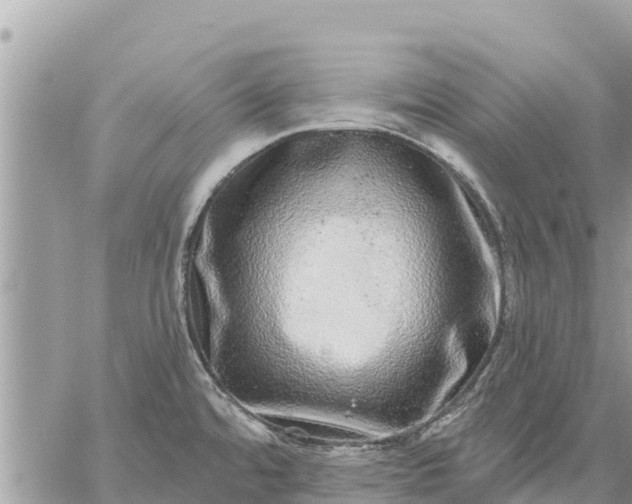 X0000059101480200510172107