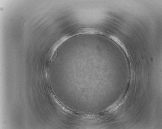 X0000059101481200510172107