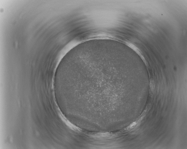 X0000059101482200510172107