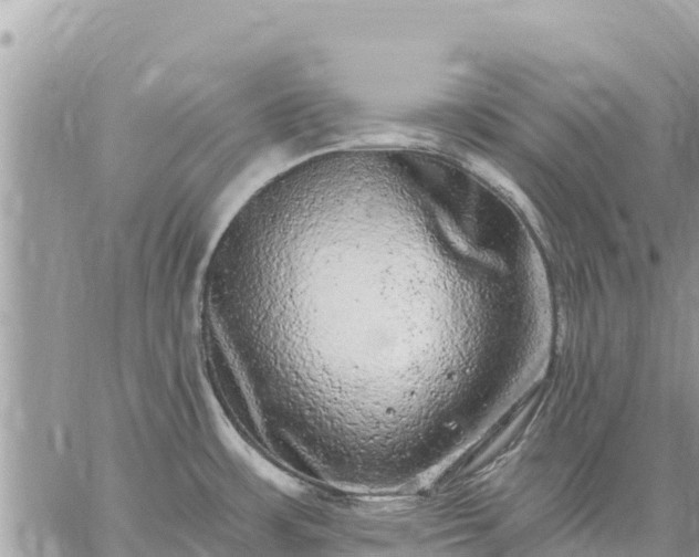 X0000059101483200510172107