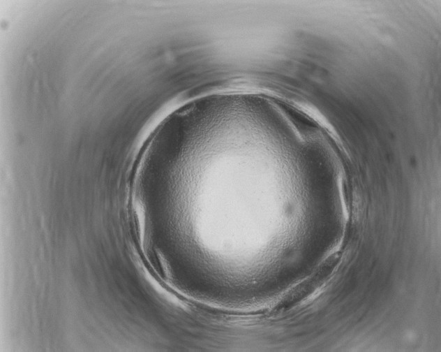 X0000059101484200510172107