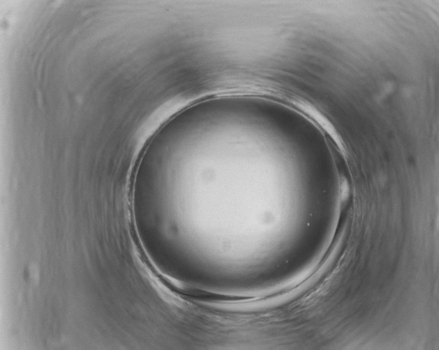 X0000059101485200510172107