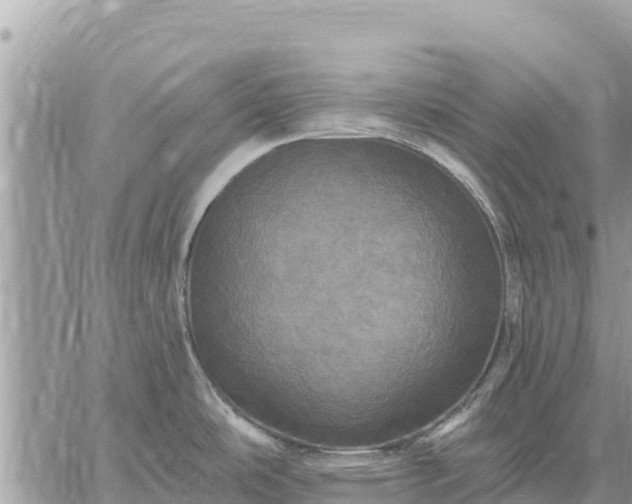 X0000059101486200510172107