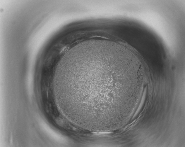 X0000059101487200510172107