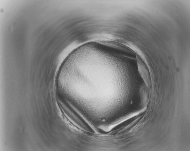 X0000059101488200510172107