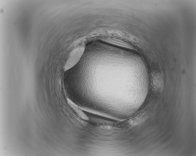 X0000059101489200510172106