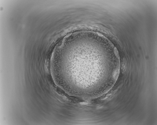 X0000059101490200510172106