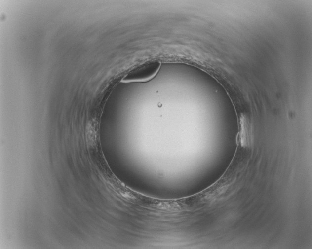 X0000059101491200510172106