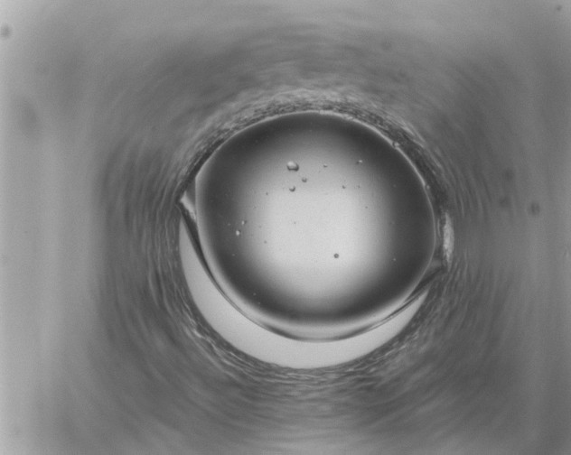 X0000059101492200510172106