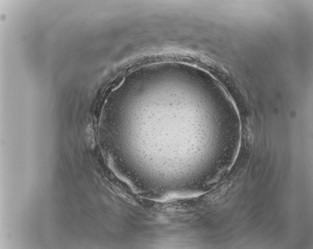 X0000059101493200510172106