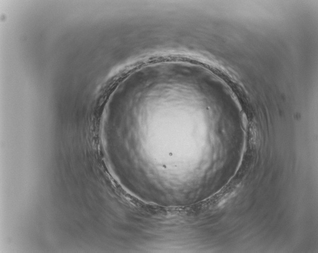 X0000059101494200510172106