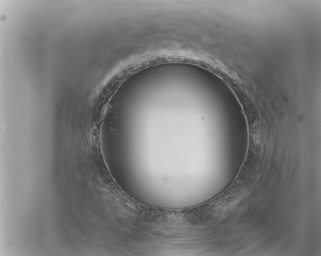 X0000059101495200510172106