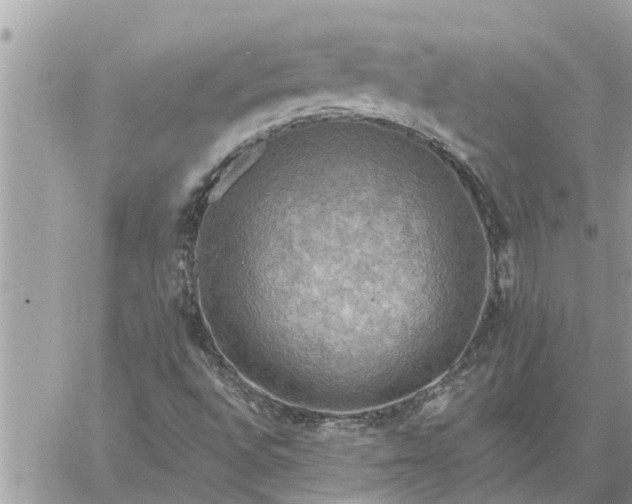 X0000059101496200510172106