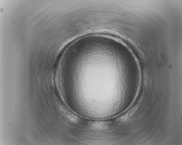 X0000059101497200510172106