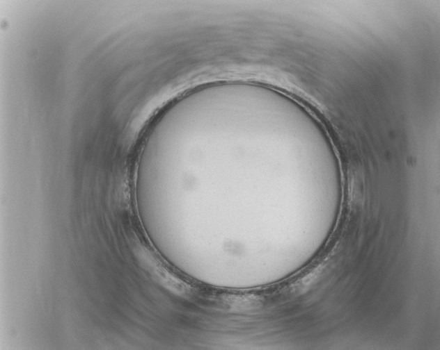 X0000059101498200510172106