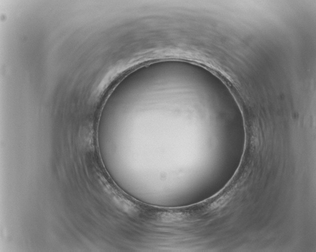 X0000059101499200510172106