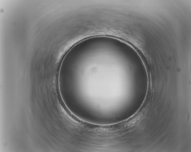 X0000059101500200510172106