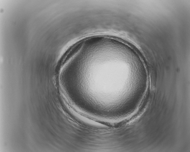 X0000059101501200510172106