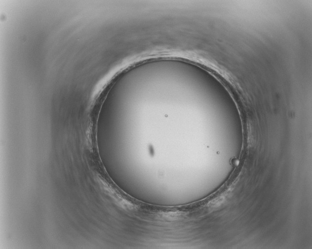 X0000059101502200510172107