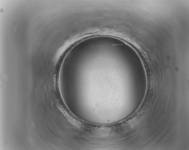 X0000059101503200510172107