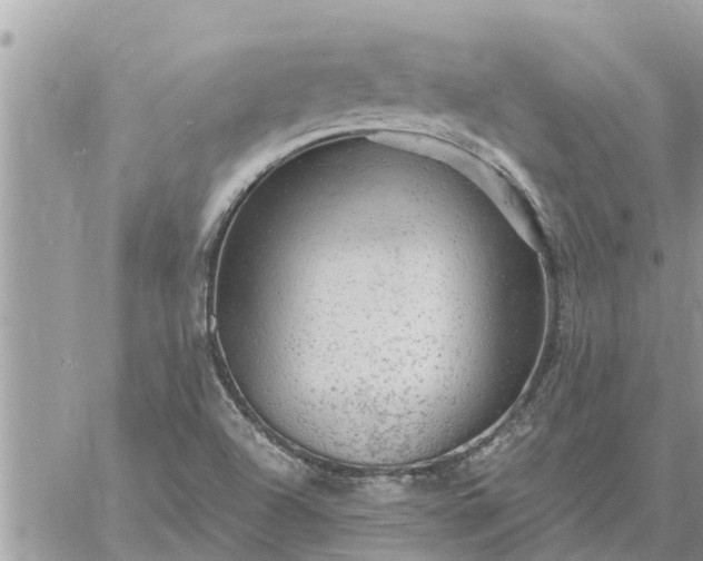 X0000059101504200510172107