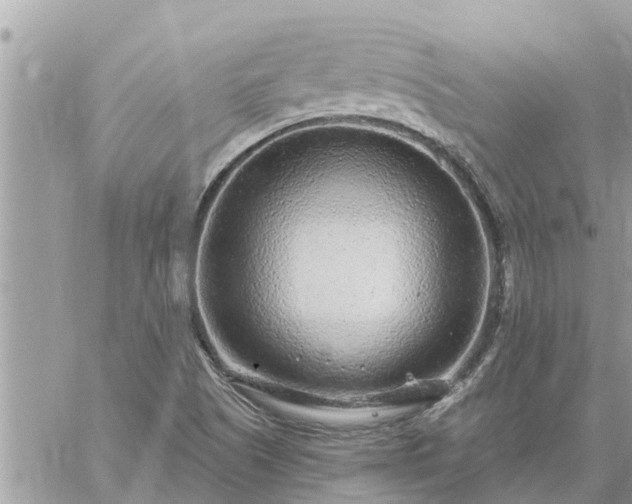 X0000059101505200510172107