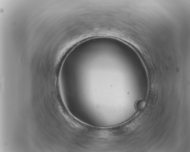 X0000059101507200510172107