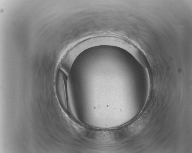 X0000059101508200510172107