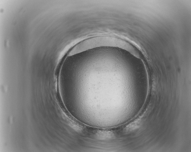 X0000059101509200510172107