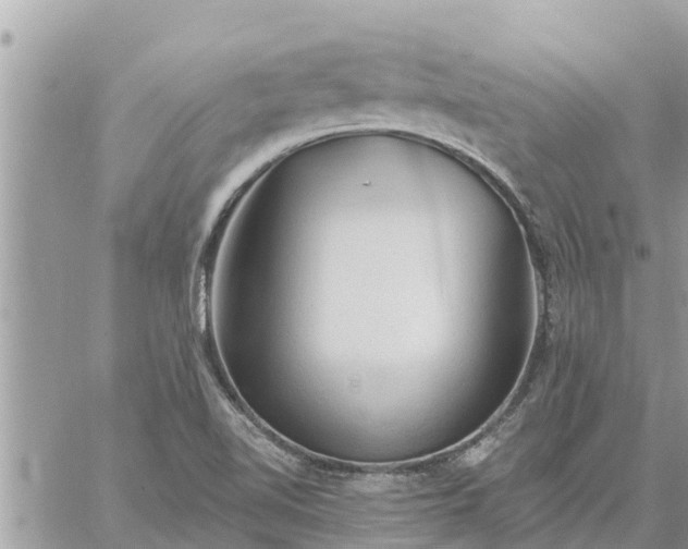 X0000059101510200510172107