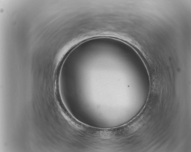 X0000059101511200510172107