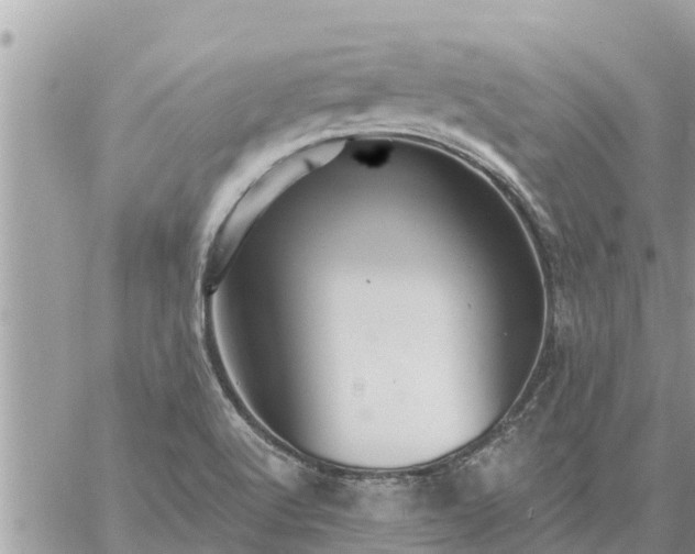 X0000059101512200510172107