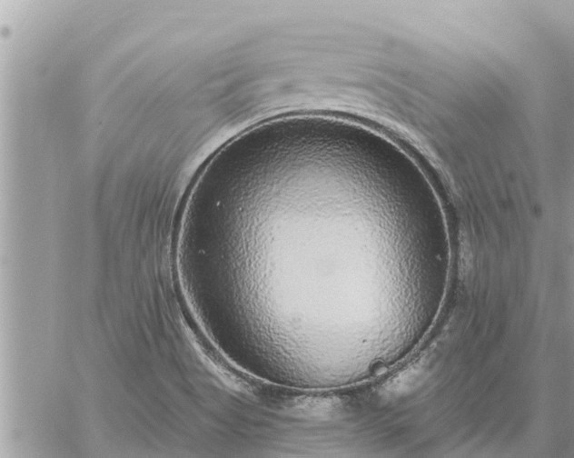 X0000059101513200510172107