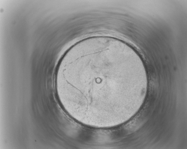 X0000059101514200510172107