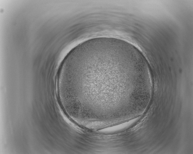 X0000059101515200510172107