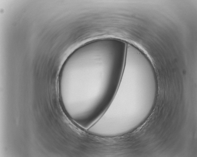 X0000059101516200510172107