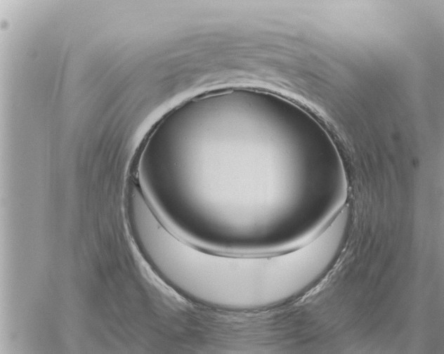 X0000059101518200510172107