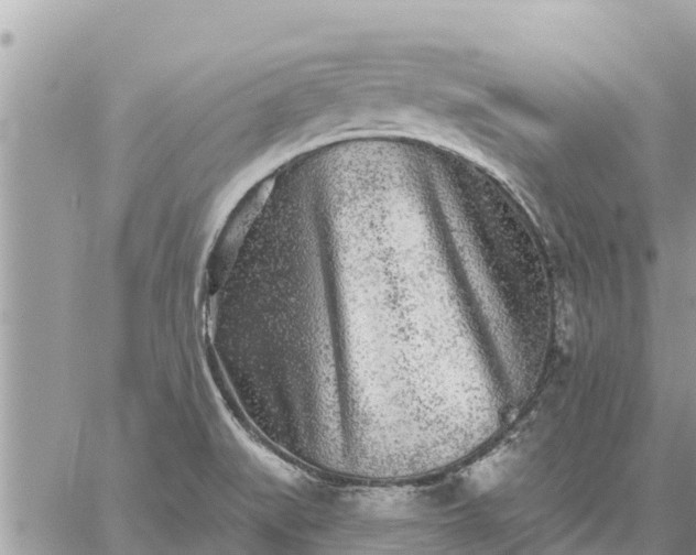 X0000059101519200510172107