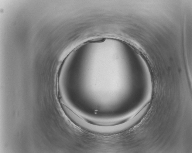 X0000059101520200510172107